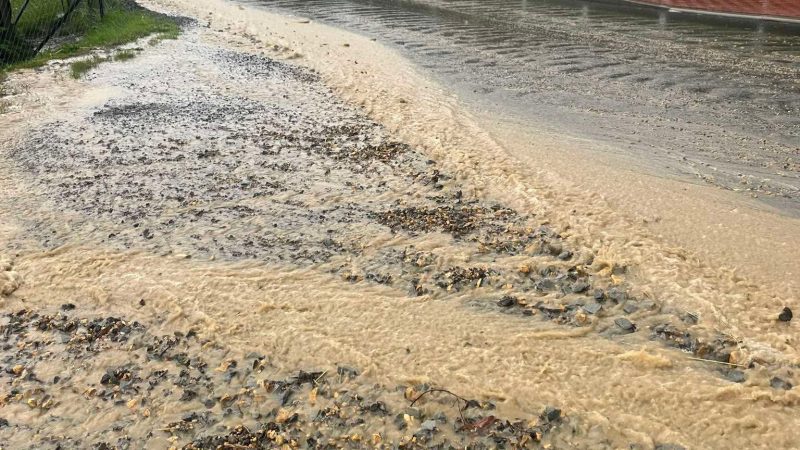 Mieszkanka oskarża wykonawcę drogi i władze gminy. Zalanie posesji na Górnym Osielcu