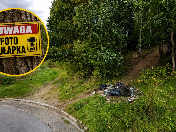 Kamery przy dzikich wysypiskach? Jordanów może pójść śladem innych gmin