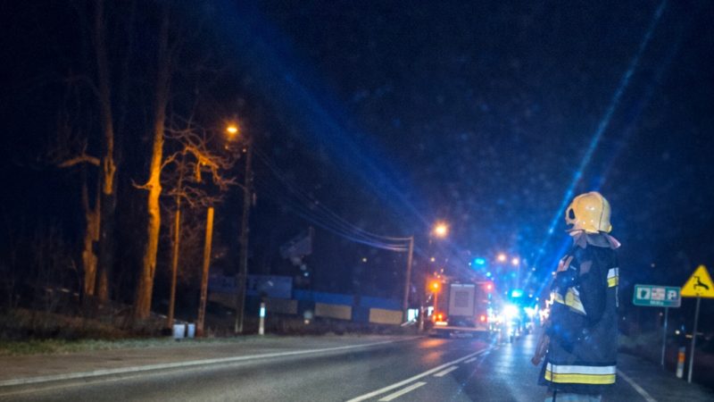 Kolizja z dziką zwierzyną na DK28 w Jordanowie