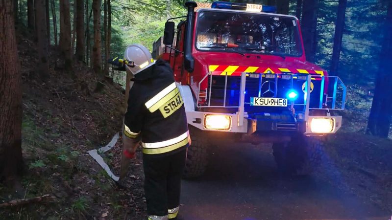 Strażacy interweniują w Zawoi. Pożar gałęzi mógł przenieść się na las